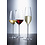 Schott-Zwiesel Champagneglas 0,24 L Schott-Zwiesel Fortissimo