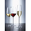Schott-Zwiesel Champagneglas 240ml Fortissimo