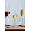 Schott-Zwiesel Champagneglas 297ml Belfesta Pure set/2