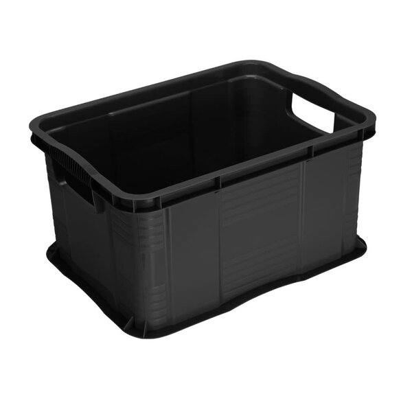 Rotho Opbergbox 17.5L rotho agilo zwart