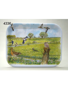  Dienblad Weidevogels