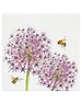 The Leonardo Collection Glasonderzetter Bee-tanical Allium