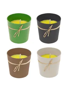 Citronella kaars in ecopot 4ass
