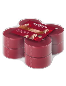 Bolsius Geurtheelichten Winter Spices Maxi set/8