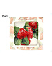 Geharo Glasonderzetters set-4 Aardbeien