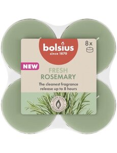 Bolsius Geurtheelicht fresh rosemary maxi set/8
