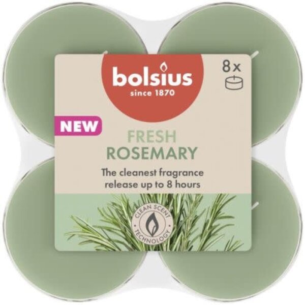 Bolsius Geurtheelicht fresh rosemary maxi set/8
