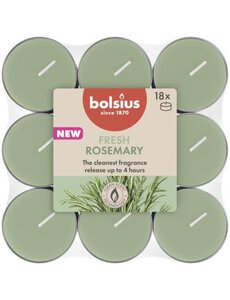 Bolsius Geurtheelicht fresh rosemary set/18