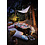 Luminarc Waterglas Concepto 25cl
