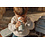 Mepal Schoolbeker campus 300 ml - cool mint
