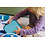 Mepal Bento lunchbox campus groot - cool mint
