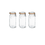 Le Parfait Inmaakpot met klemdeksel 3L set 3
