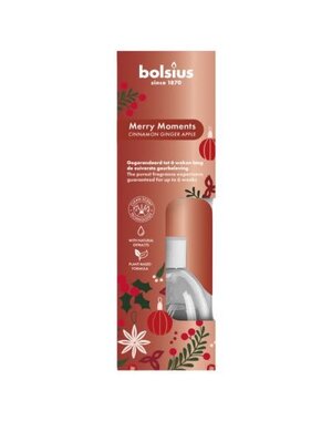 Bolsius Geurstokjes Merry Moments Cinnamon Ginger Apple