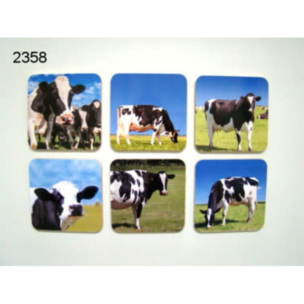 Geharo Onderzetter Koe set/6