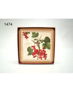 Geharo Onderzetter Jardin D'Hiver set/6