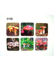 Geharo Onderzetterset Paddenstoel 6 delig