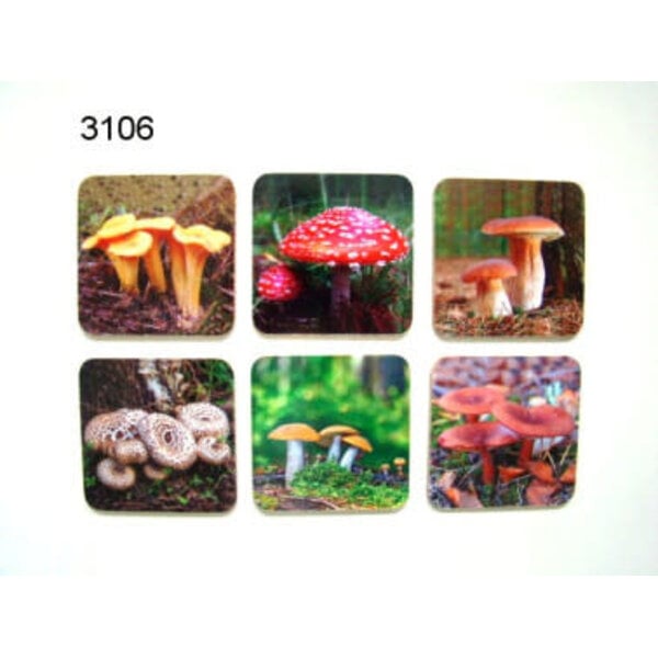 Geharo Onderzetterset Paddenstoel 6 delig