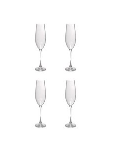  Champagneglas 29cl Saga set/4