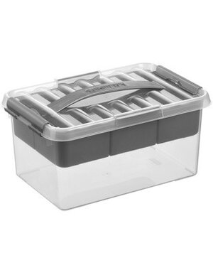 Sunware Opbergbox met inzet 6L transparant zilver