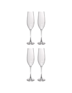 Salt en Pepper Champagneglas 29cl Saga set/4