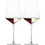 Schott-Zwiesel Wijnglas 548ml Duo set/2