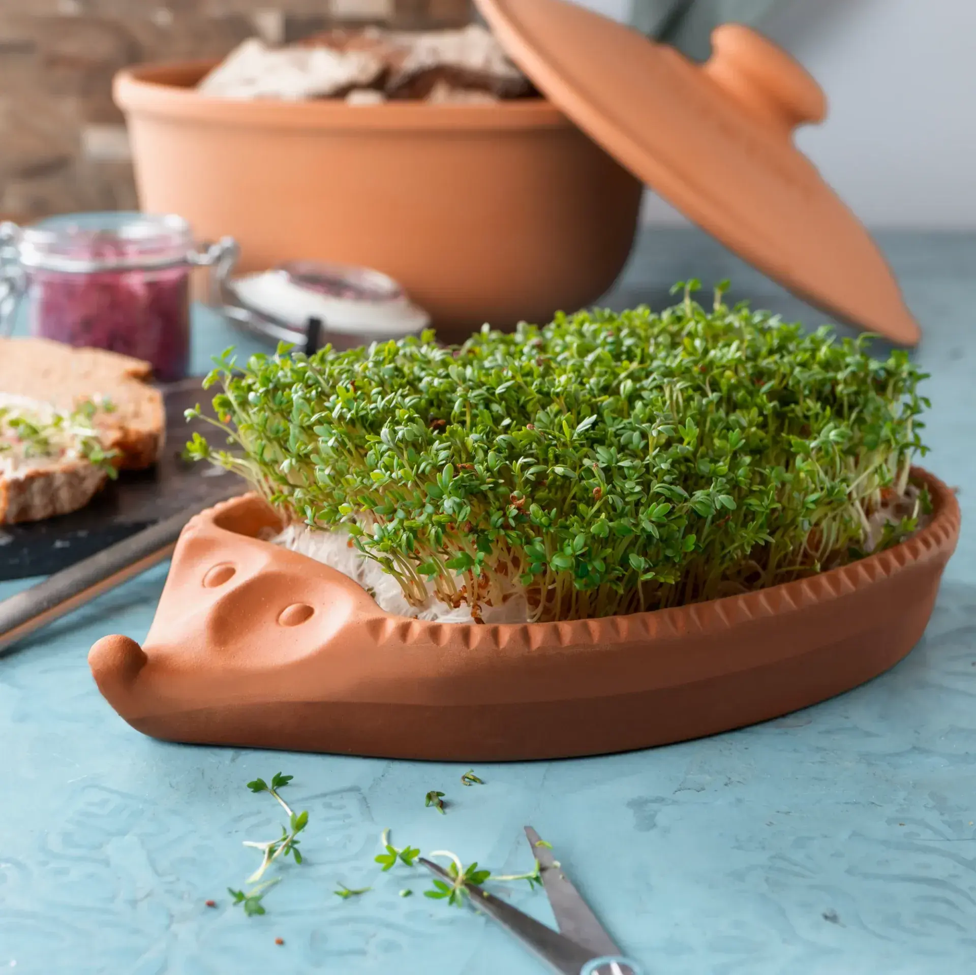 Tuinkers egel Römertopf afbeelding 3