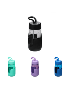 Sistema Drinkfles 700ml Hydrate Flip Sipper 4 assorti