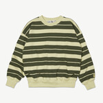 Main Story Bubble Sweatshirt - Lemongrass & Spruce