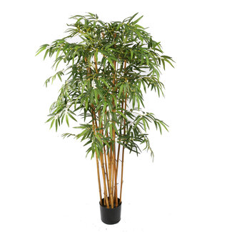 Kunstplant bamboo xxl