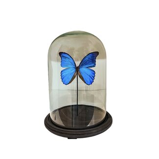 vlinderstolp blauw large