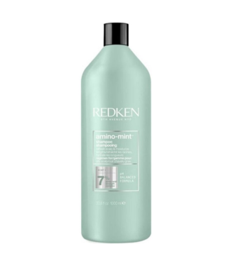 Redken Redken - Amino Mint - Shampoo pour cheveux fins, sans vie ou gras - 1000 ml