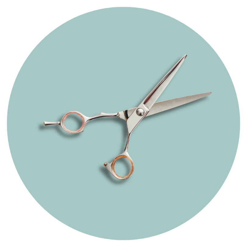 Wahl unserer Friseure