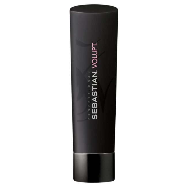 SEBASTIAN PROFESSIONAL Foundation