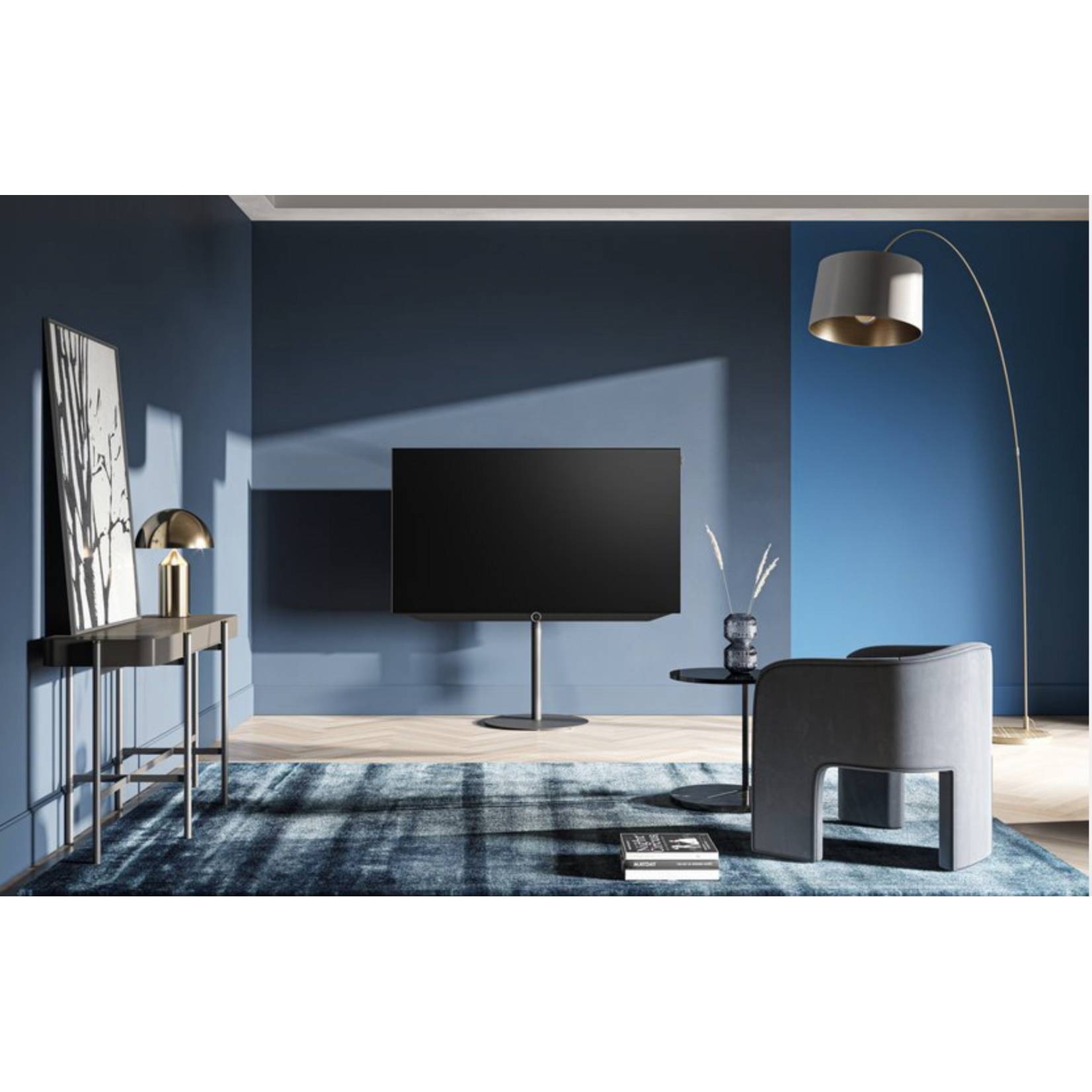 LOEWE LOEWE Bild V.55 dr+ Demo