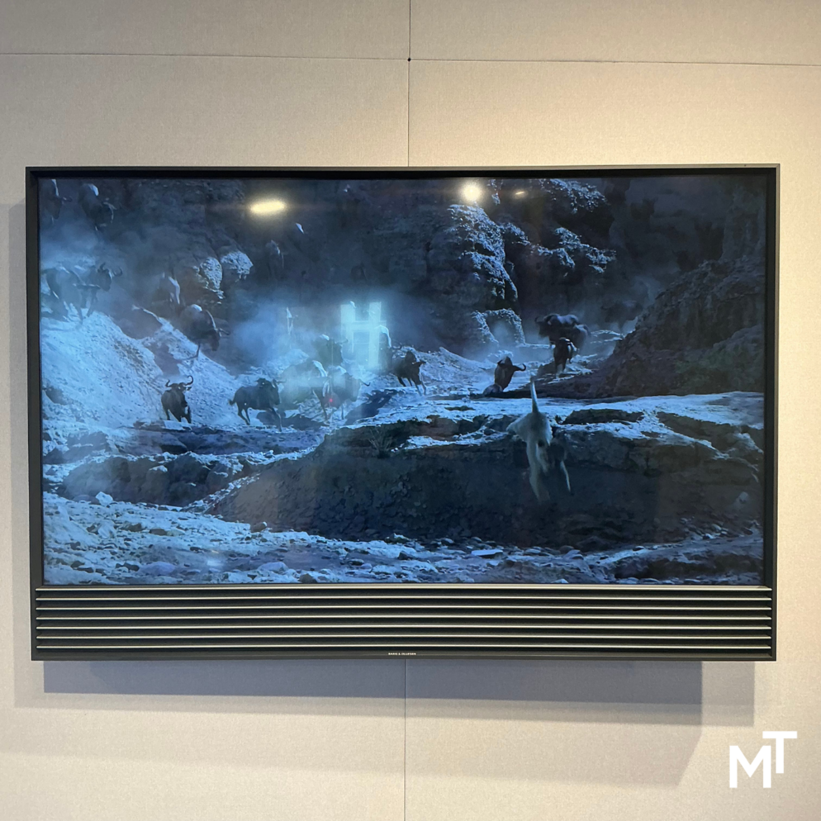 Bang & Olufsen Beovision Horizon 48