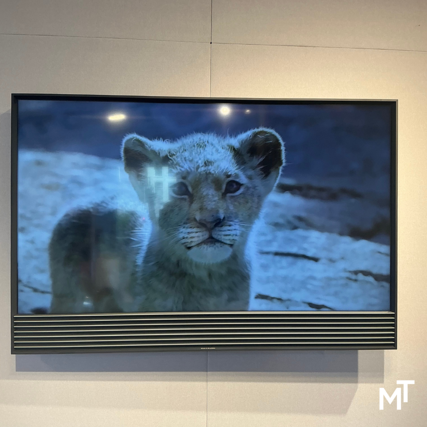 Bang & Olufsen Beovision Horizon 48