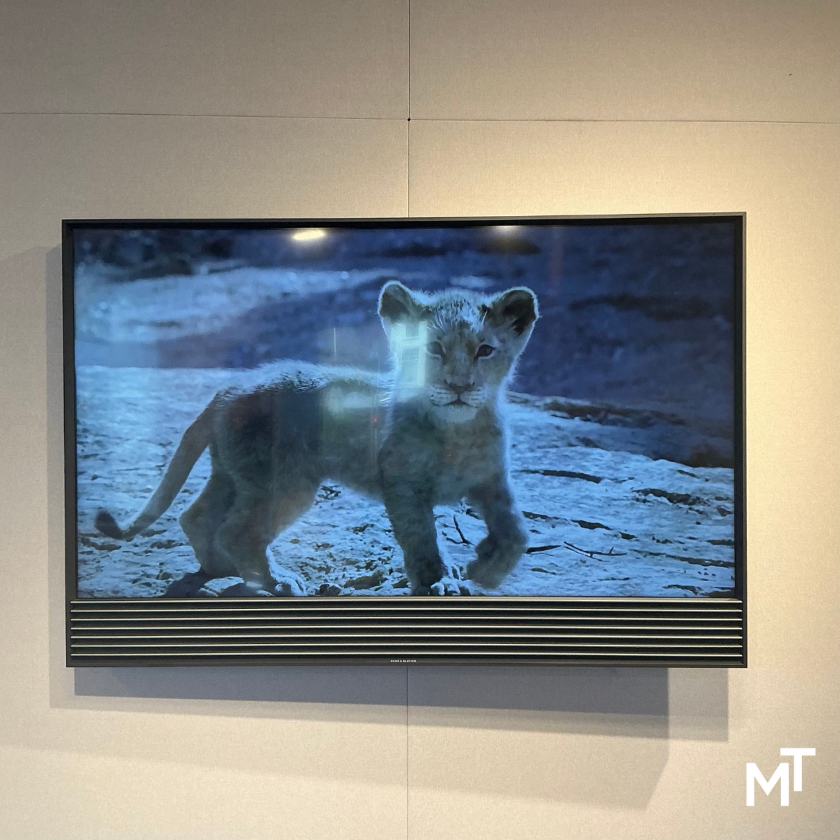 Bang & Olufsen Beovision Horizon 48