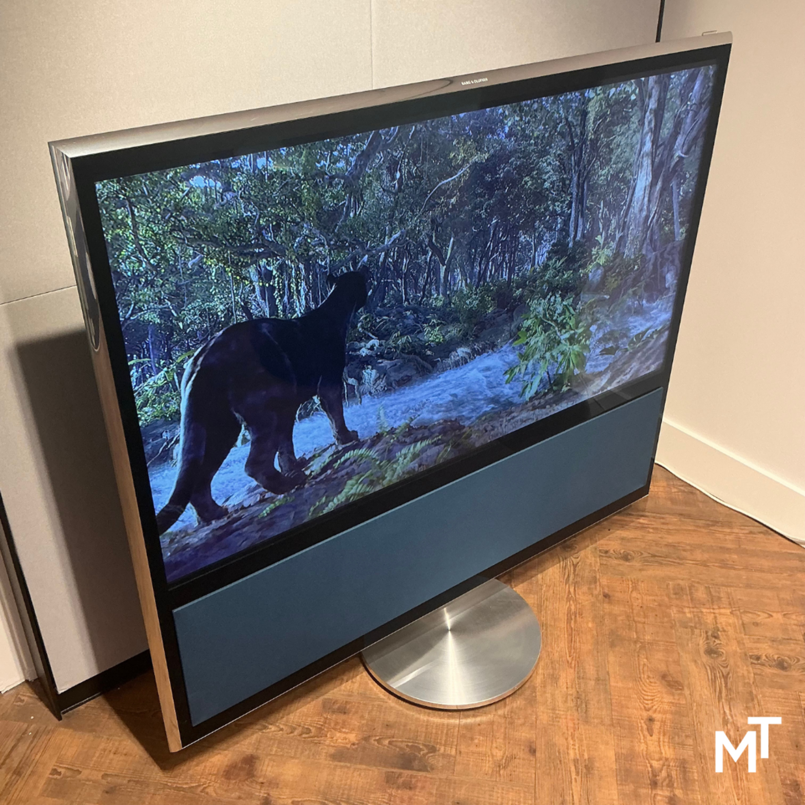 Bang & Olufsen Beovison 11-55 Zilver