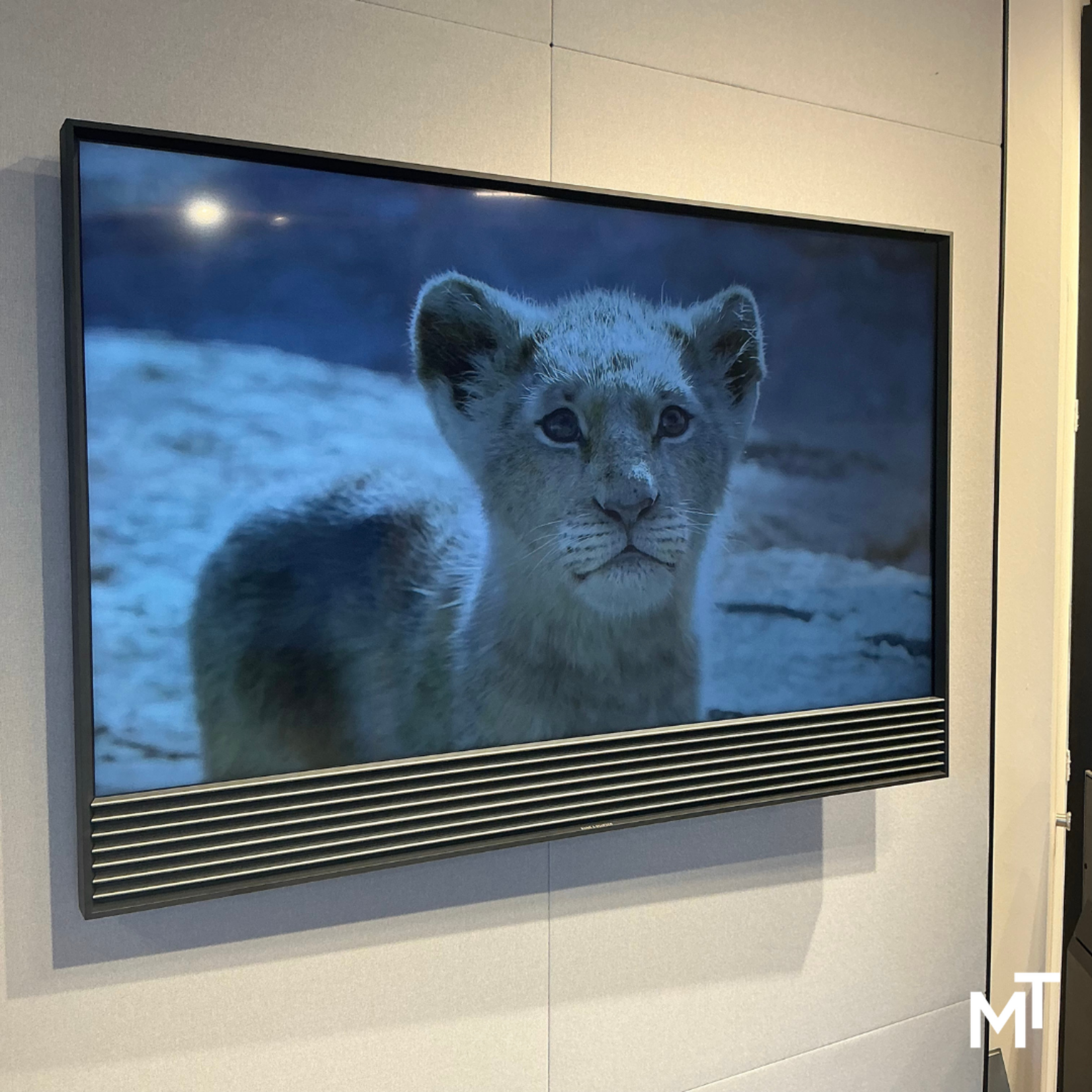 Bang & Olufsen Beovision Horizon 40