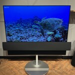 Bang & Olufsen Bang & Olufsen Beovision Eclipse 55 MKI OLED scherm