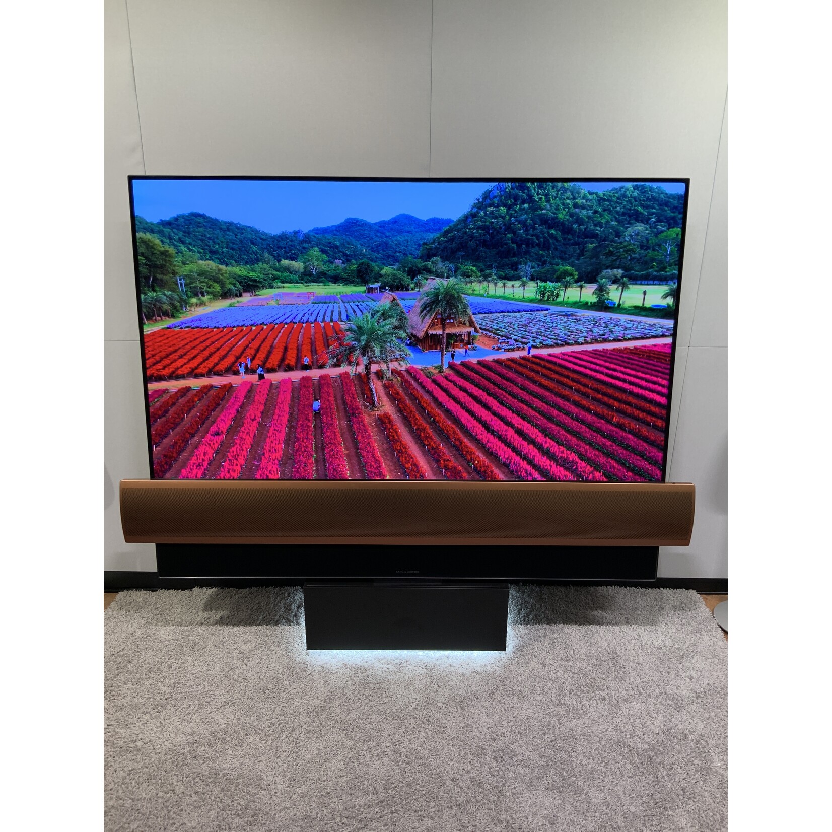 Bang & Olufsen Beovision Eclipse 65” Volledig Brons TV 2026