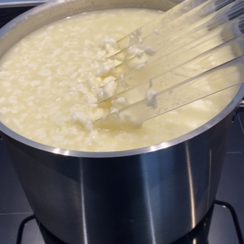 Waarom is wrongel zo belangrijk in het kaasbereidingsproces?