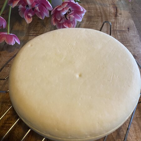 Hobby Kaas Grote Gouda kaasvorm 2,5–3 kg | Kaaswiel met volger