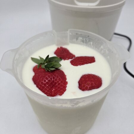 Hobby Kaas Yoghurtmaker | Yoghurt machine