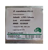 Eigen merk Penicillium candidum PC22 1D | Stabiele witschimmel voor Brie & Camembert