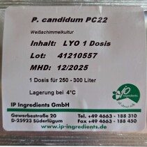 Penicillium Candidum Neige  PC22