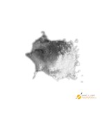 SIGMA 26 – Rijpingsgist voor roodflora met fruitig aroma