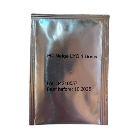 Penicillium Candidum Neige