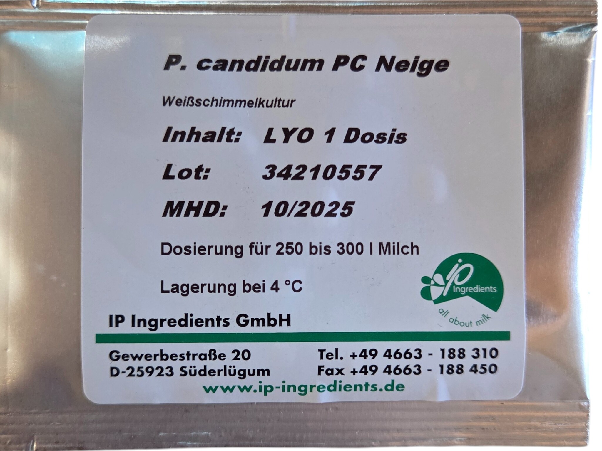 Penicillium Candidum Neige