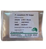 Penicillium candidum Neige 1D | Witschimmel voor Brie & Camembert